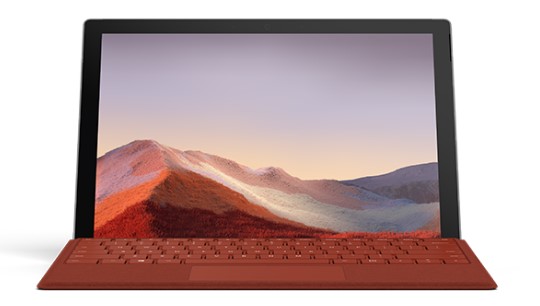 丹凤清洁和维护 Surface